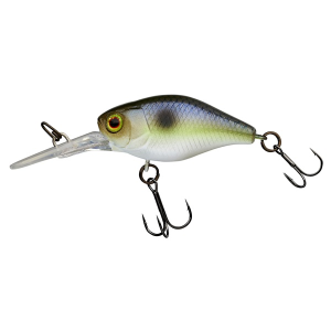 Illex Crankbait Diving Chubby 38 Pearl Sexy Shad
